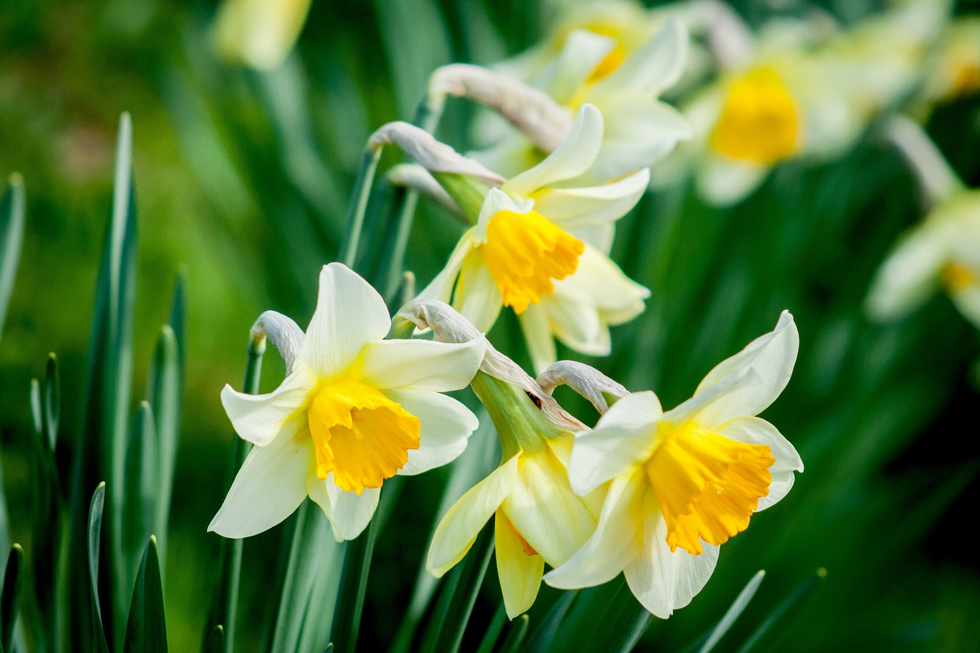 Frohe Ostern! – Ein Blog-Artikel in leichter Sprache
